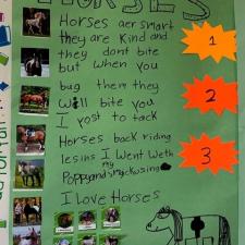 A green handmade poster of horse breeds and descriptions.